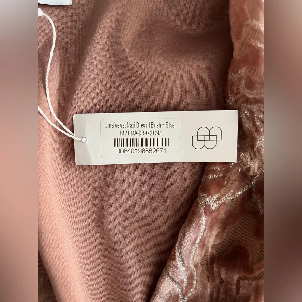 NWT Women’s Baltic Born Uma Velvet Burnout Maxi Dress Pink Floral - Size Medium - Picture 6 of 9